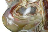 Polished Crazy Lace Agate - Mexico #180551-4